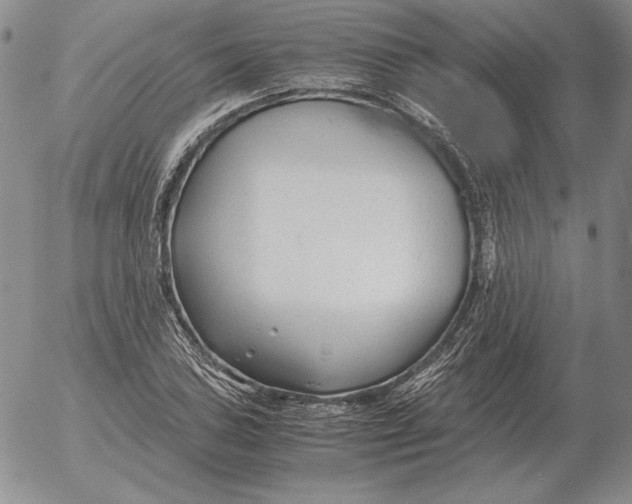 X0000053111027200508012119