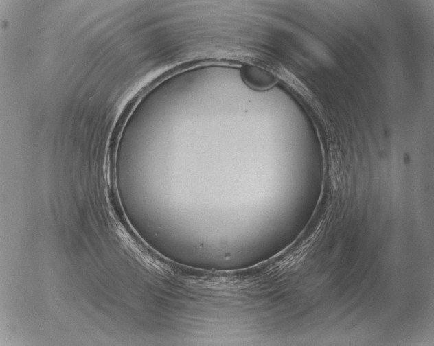 X0000053111028200508012119