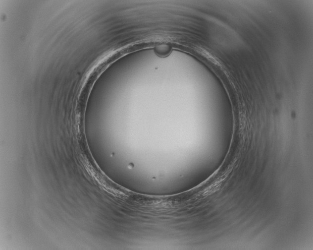 X0000053111029200508012119