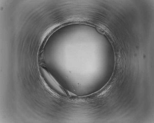 X0000053111030200508012119