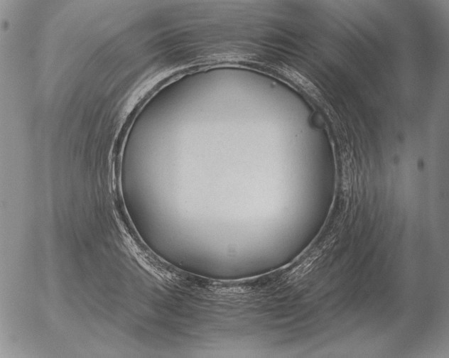 X0000053111031200508012119