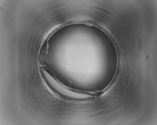 X0000053111034200508012119