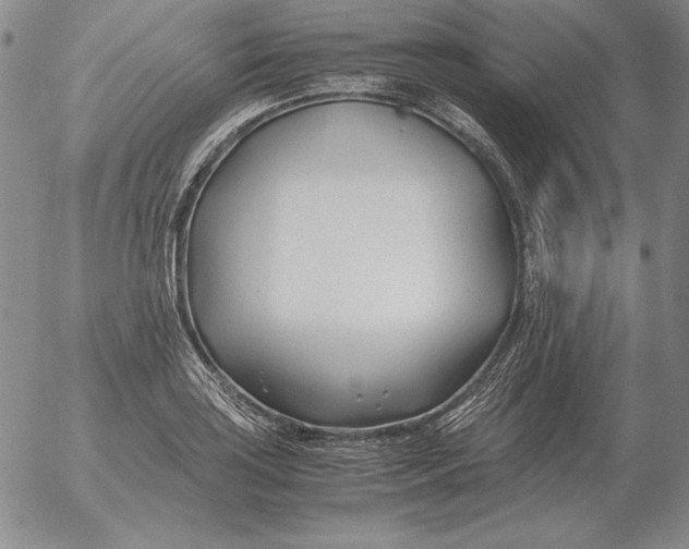 X0000053111035200508012119