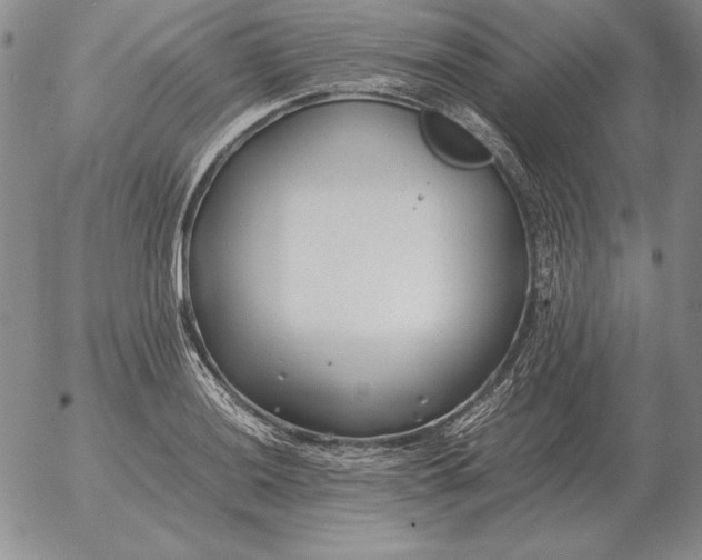 X0000053111036200508012119