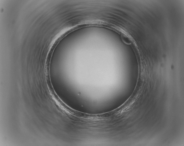 X0000053111037200508012119