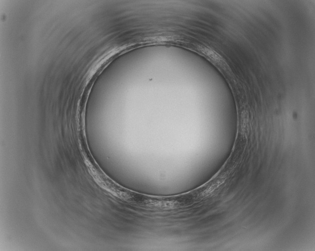 X0000053111039200508012119