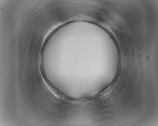 X0000053111040200508012119