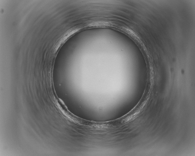 X0000053111041200508012119