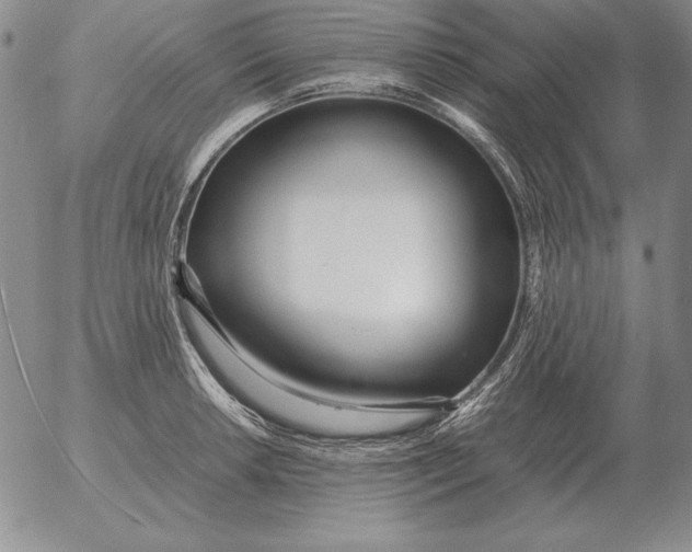 X0000053111042200508012119