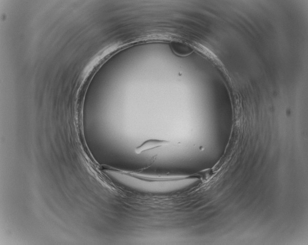 X0000053111043200508012119