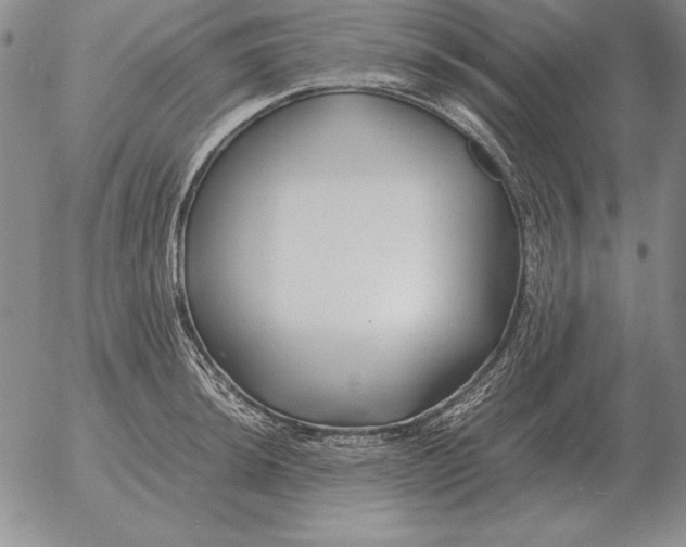 X0000053111044200508012119