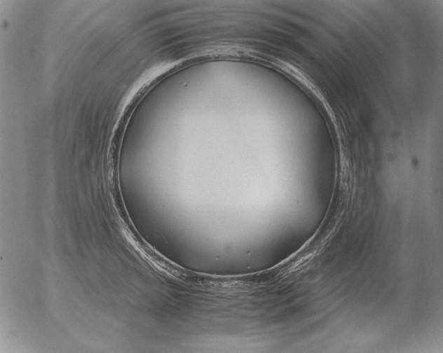 X0000053111045200508012119