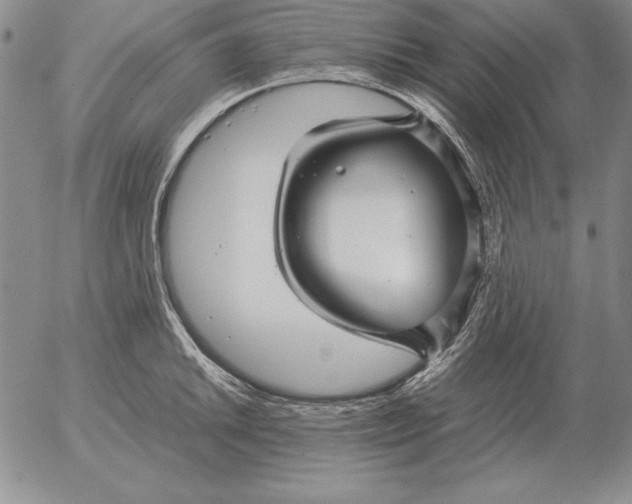 X0000053111046200508012119