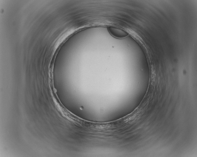 X0000053111047200508012119