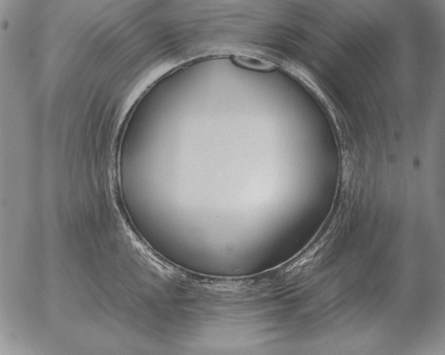 X0000053111048200508012119