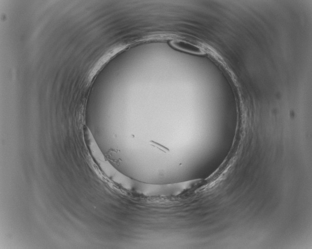 X0000053111049200508012119