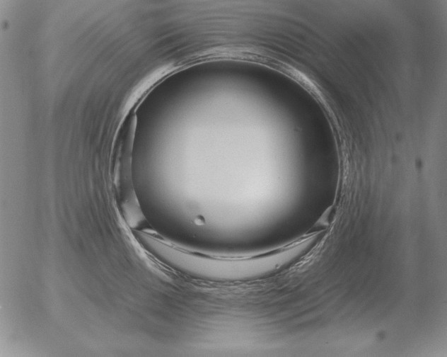 X0000053111050200508012119