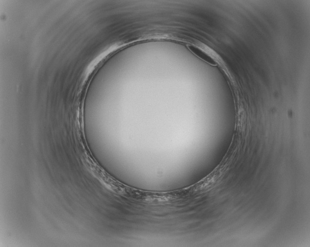 X0000053111051200508012119