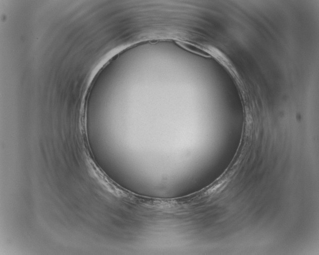 X0000053111052200508012120