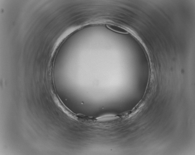 X0000053111053200508012120