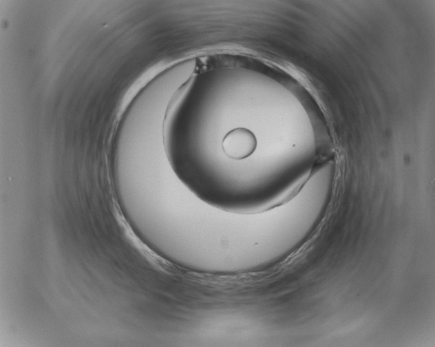 X0000053111054200508012120