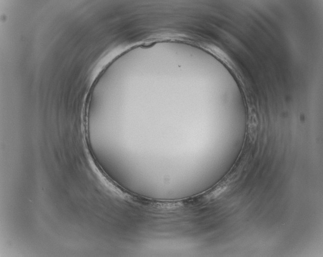 X0000053111055200508012120