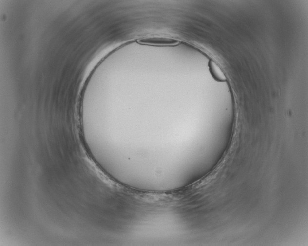 X0000053111056200508012120