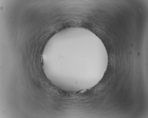 X0000053111057200508012119