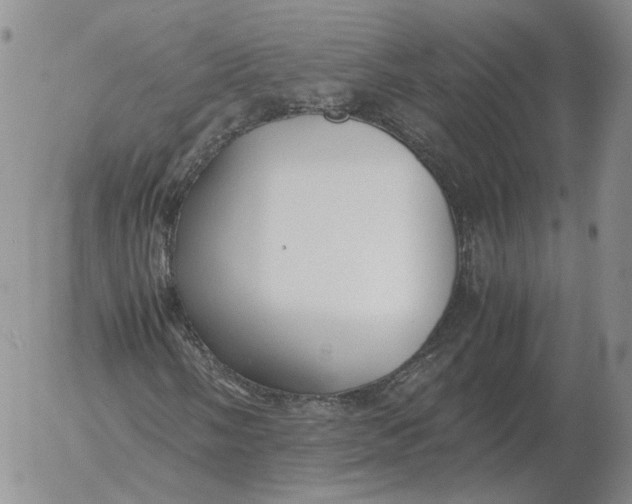 X0000053111058200508012119