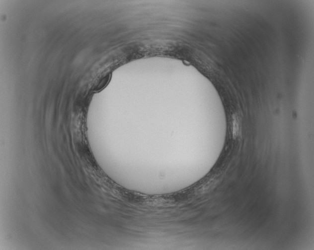 X0000053111059200508012119