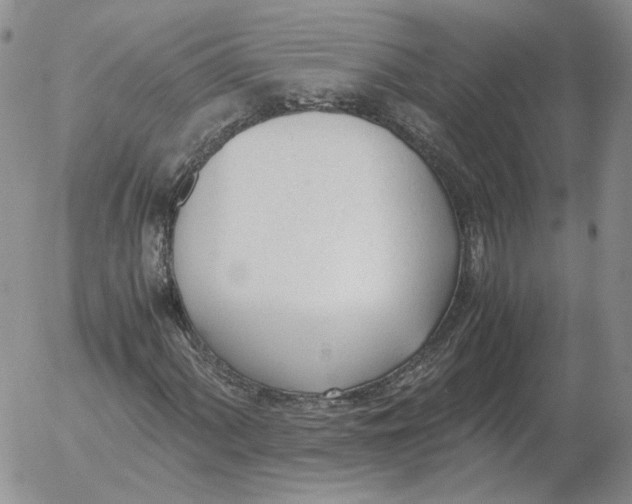 X0000053111060200508012119