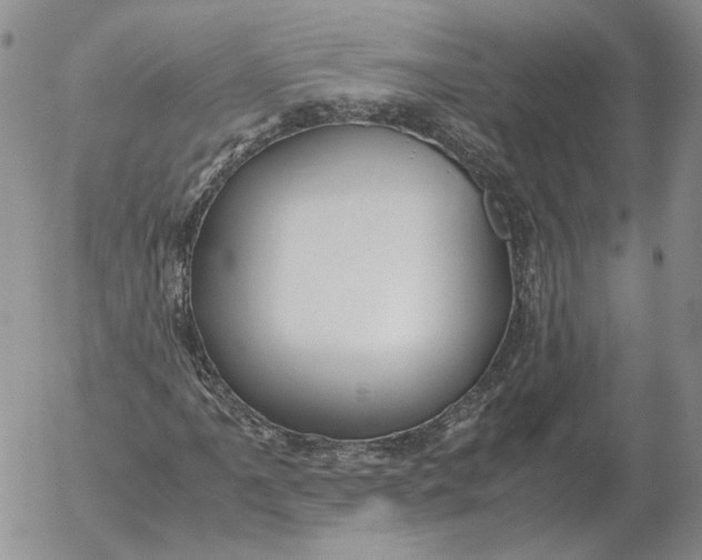 X0000053111061200508012119