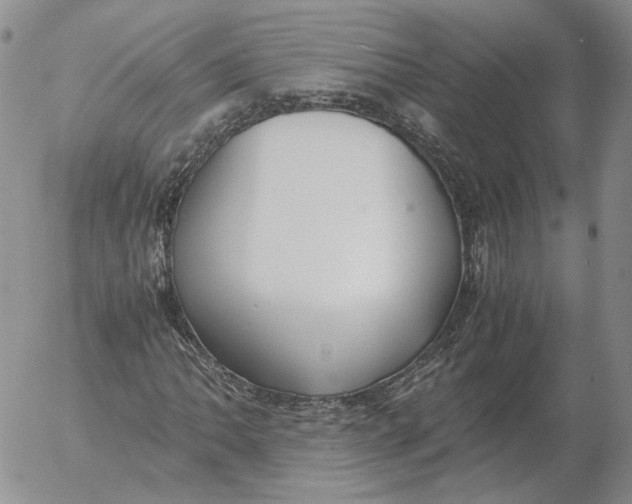 X0000053111062200508012119