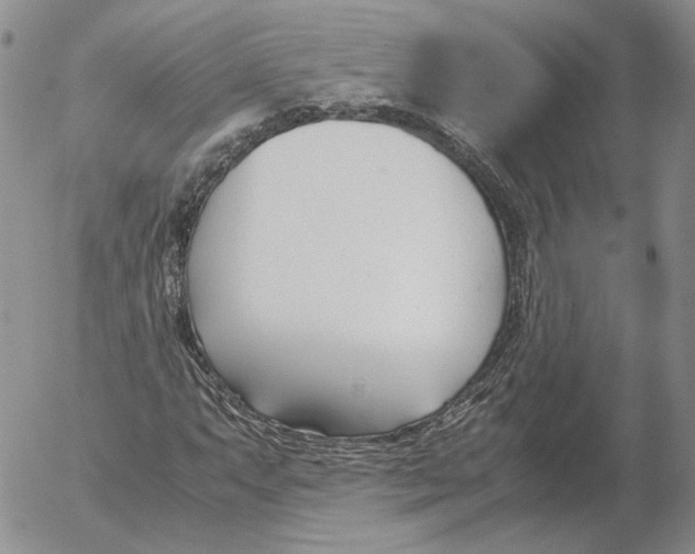 X0000053111063200508012119