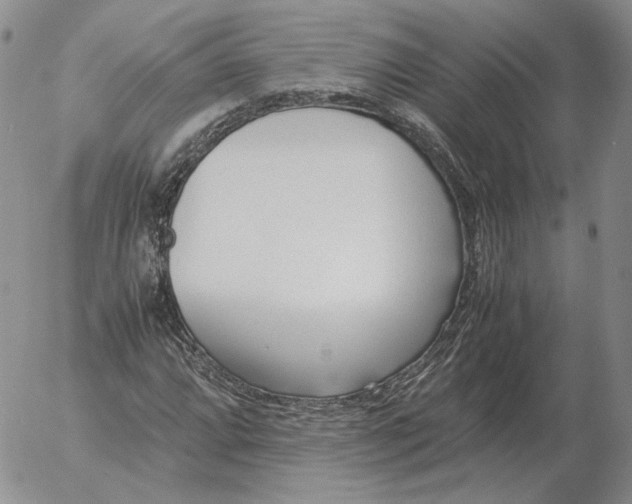 X0000053111064200508012119