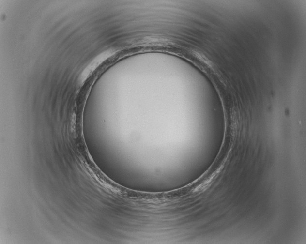 X0000053111066200508012119