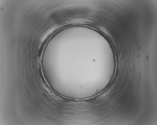 X0000053111067200508012119