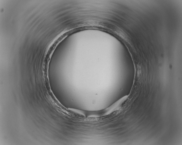 X0000053111068200508012119