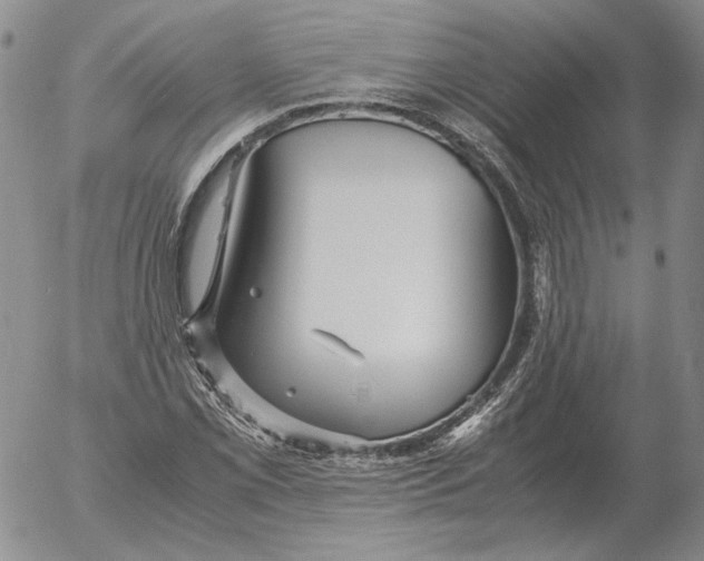 X0000053111069200508012119