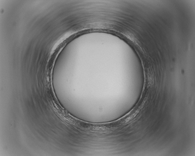 X0000053111070200508012119