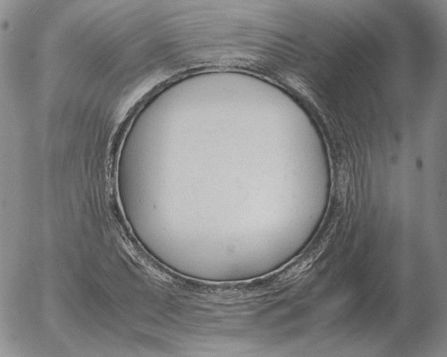 X0000053111071200508012119