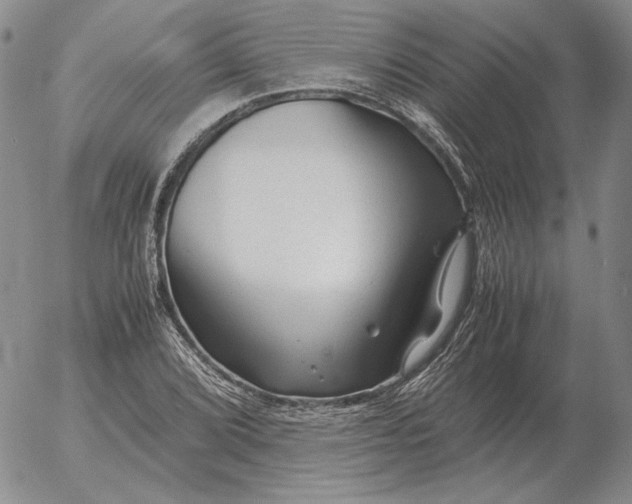 X0000053111072200508012119