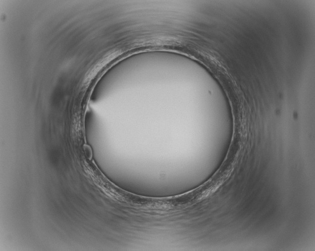 X0000053111073200508012119