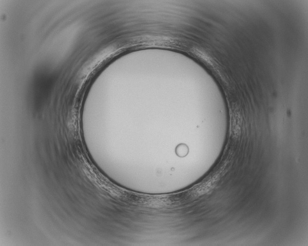 X0000053111074200508012118