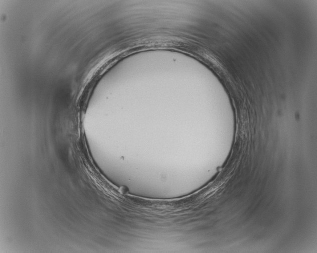 X0000053111075200508012118