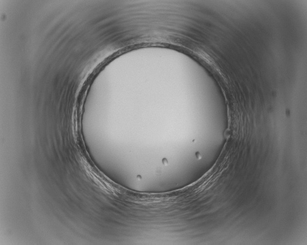 X0000053111076200508012118