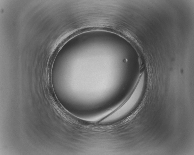 X0000053111077200508012118