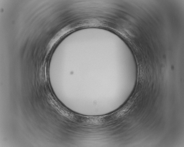 X0000053111078200508012118