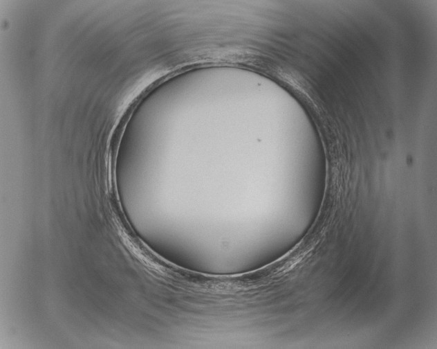 X0000053111079200508012118