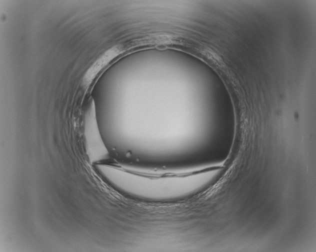 X0000053111081200508012118